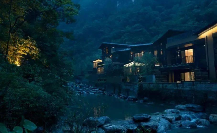 昆明动物园决定采用诱捕方式,将猫移出猴山