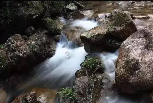 【法治丽江】公益诉讼增殖放流，守护一江清水向东流